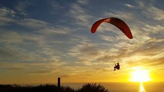 Torrey Pines Gliders [upl. by Rubens408]