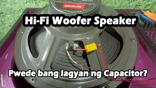 HiFi Woofer Speaker 600 Watts 8 Ohms  Pwede bang lagyan ng Capacitor [upl. by Fauver]