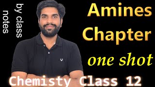 Amine Complete Chapter in One shot by Class notes  Class 12 [upl. by Lawrenson]