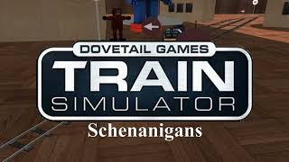 Train Sim Schenanigans [upl. by Clari]