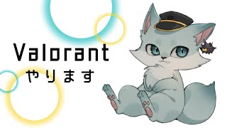 【VALORANT】初心者達が基礎を教えてもらいながらアンレ行きます 初見さん大歓迎 [upl. by Veneaux541]