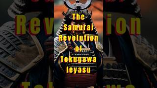 The Samurai Revolution of Tokugawa Ieyasu [upl. by Mclaurin]