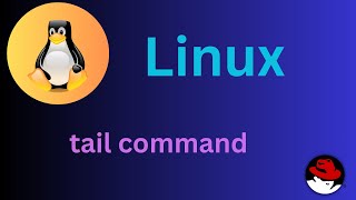 1350 Basic Linux Commands  tail command Explained shortsvideo linux linuxtutorial [upl. by Helve343]