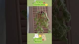 Hanging monstera leaf crochet plant crochet crochetbonoise diy shorts arijitsingh [upl. by Chemar917]