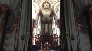 Larghetto from Persichetti Sonata for Organ  MaryKatherine Fletcher  Methuen Memorial Music Hall [upl. by Seiden]