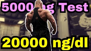 The Road to 20000 ngdl and 5g of Testosterone  Next Cycle Outline [upl. by Yessak380]