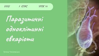 Паразитичні одноклітинні організми [upl. by Aluap]