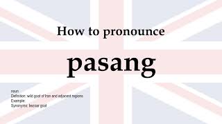 How to pronounce pasang  meaning [upl. by Refynnej]