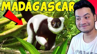 Welcome To Madagascar  Planet Zoo  PART 2 HINDI 2022 [upl. by Missy877]