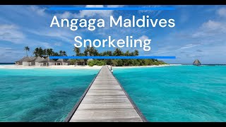 Snorkeling in Angaga Island Resort Maldives  House Reef Insights [upl. by Issiah]