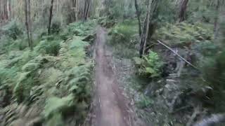 JOYRIDE ROOKIE CUP  Round 3 course preview Narbethong [upl. by Nomead]