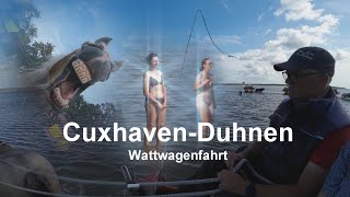 Cuxhaven  Duhnen Watt Kutschenfahrt [upl. by Ahsei48]