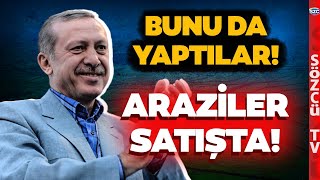 Parsel Parsel Satışta Hükümet 3 Ülkeden Büyük Hazine Arazilerini Satıyor [upl. by Gefell]