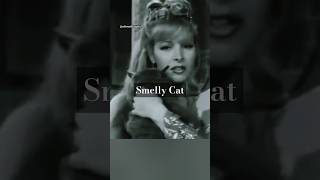 Phoebes Smelly Cat Song phoebebuffay phoebe friendstvshow friends friendstvseries shorts [upl. by Lhamaj888]