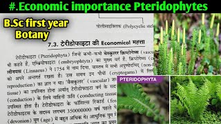 Economic importance of Pteridophytes BSc first year Botany Second semester Short Questions [upl. by Adniuqal335]