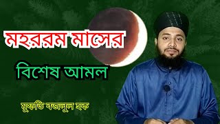 মহররম মাসের শ্রেষ্ঠ আমল  mohoromer amol  study tips  আশুরার রোজা  আশুরার আমল  বজলুল হক মধুপরী [upl. by Robaina167]