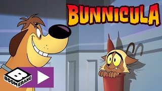 Le singe fou  Bunnicula  Boomerang [upl. by Attener]