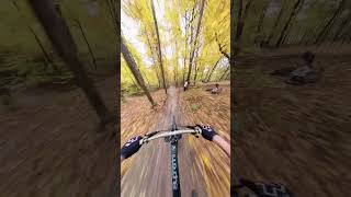 Rampage Line  Lopata Trail Commencal Supreme V5 bike mtb downhillmtb downhill [upl. by Mulligan]