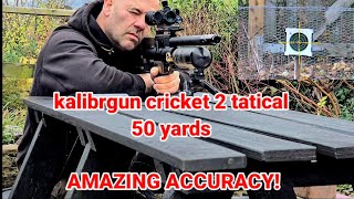 AMAZING ACCURACY FROM THIS AIR RIFLE WOW   kalibrgun cricket airgunhunting [upl. by Enak]