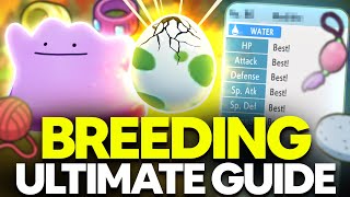 ULTIMATE Breeding Guide Perfect IVs Natures Egg Moves  Pokemon Brilliant Diamond amp Shining Pearl [upl. by Valencia]