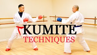 10 ULTIMATE KUMITE TECHNIQUES 🥋⛩ [upl. by Kelula]