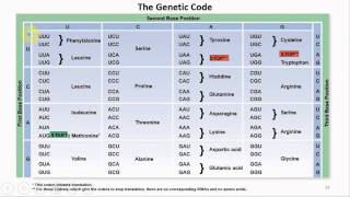 Chapter 08 Microbial Genetics and Genetic Engineering  Cowan  Dr Mark Jolley [upl. by Yllen63]