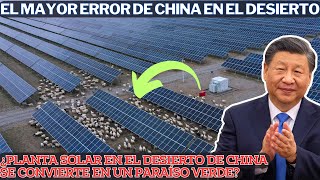 ¿Cómo La Planta Solar En El Desierto De China Se Convirtió En Pasto Inspira Su Audaz Transformación [upl. by Ellenid75]