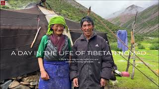 Daily Life of a Tibetan Nomad Family Living in Altitude of 4800 Meters How is Their Daily Life [upl. by Mcquoid789]