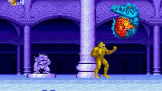 Altered Beast Sega Mega Drive 5  Stage 4  WereTiger [upl. by Nowad131]