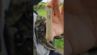 Unbelievable Metal Detecting Find 3000YearOld Discovery shortsfeed [upl. by Enelyaj795]