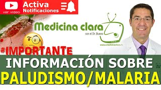 MALARIA 🦟mosquitos😨PALUDISMO ¿puedo MORIR  Medicina Clara [upl. by Ennael10]