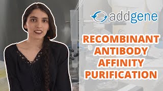 Recombinant Antibody Affinity Purification with Protein A or Protein G Protocol [upl. by Arbrab114]