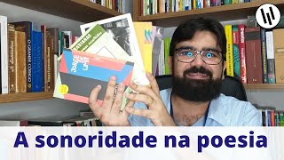 A sonoridade na poesia aliteração assonância repetição e onomatopeia  Professor Weslley Barbosa [upl. by Anderegg878]