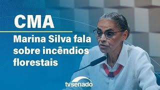 Comissão de Meio Ambiente ouve ministra Marina Silva sobre queimadas – 4924 [upl. by Vladi]