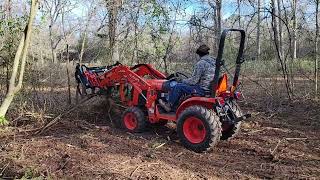 Smilax Anyone Clearing for a Driveway Fence Jan 2023 [upl. by Gorlin]