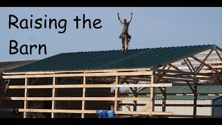 Pole Barn Build Part 3 Raising the barn and getting the roof on [upl. by Ear784]