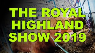 ROYAL HIGHLAND SHOW 2019  THE HOOF GP [upl. by Liagibba]