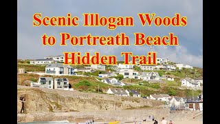 Scenic Illogan Woods to Portreath Beach Hidden Trail [upl. by Flieger]