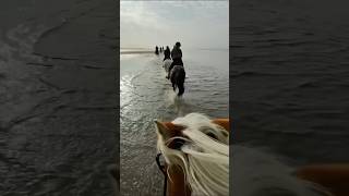 VikiSarina galloppieren durchs Meer 🏇 großen Wunsch erfüllt  Reiten am Strand ✨ ViktoriaSarina [upl. by Ydrah]