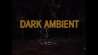 Twin Peaks Dark Ambient Compilation Angelo Badalamenti amp David Lynch [upl. by Japha348]