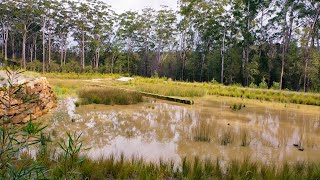 Stormwater Detention Basins [upl. by Calie]