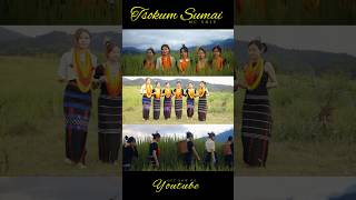 Tsokum Sumai  Mc Shiu Khiamniungan Song [upl. by Kristos43]