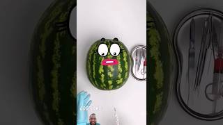 goodland watermelon funny doodle challenge doodletales emojichallenge doodly satisfying [upl. by Natiha81]