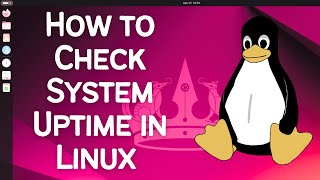 How to Check System Uptime in Linux [upl. by Llenrep]