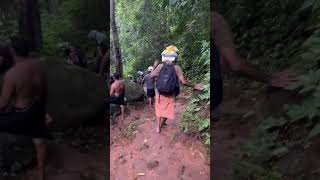 Sabarimala Peddapadam  వనయాత్ర  Batasari travel tales  Tulugu traveller [upl. by Wesle944]