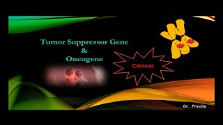 Tumor Suppressor Gene amp Oncogene [upl. by Terzas267]