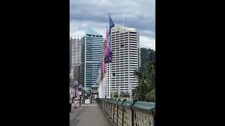 Harbourside Shopping Centre Final Days [upl. by Oralie]