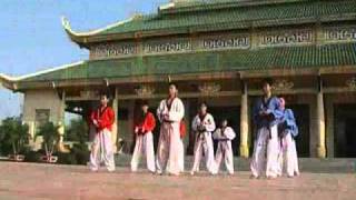 Hoang Phi Hong  Taekwondo [upl. by Iorgos71]