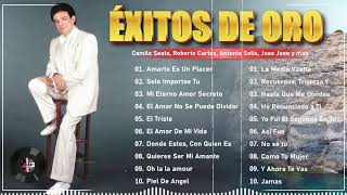 Grandes Éxitos De Los 80 y 90   Romanticas del Ayer  Música Romántica De Todos Los Tiempos [upl. by Enilaf]