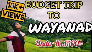 Budget Trip to Wayanadவயநாட்டுக்கு பட்ஜெட் பயணம்Under Rs1500Travel blogபயண வலைப்பதிவு Tamil [upl. by Merrili965]